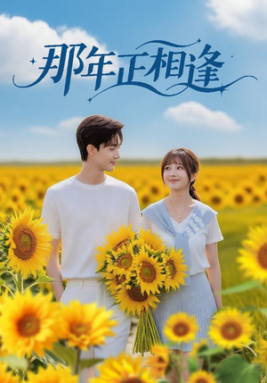 那年正相逢(60集) 那年正相逢(60集)集免费看短剧