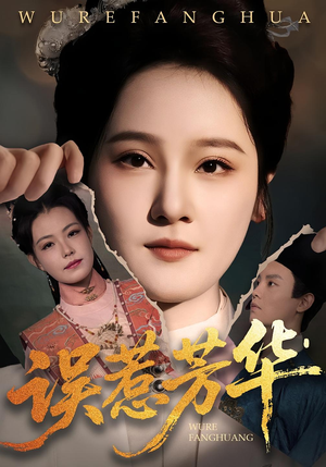 误惹芳华(68集) 误惹芳华(68集)1-102集