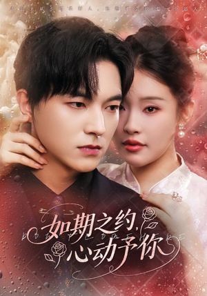 如期之约心动予你（82集）全集