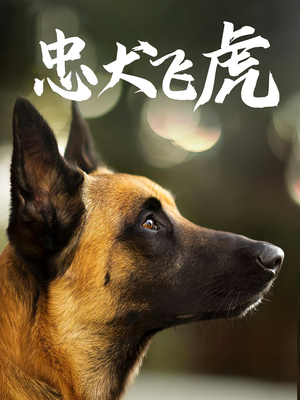 忠犬飞虎(33集) 忠犬飞虎(33集)在线看免费版