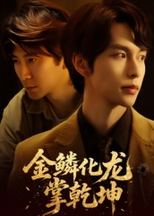 金lin化龙掌乾坤（54集）1-102集