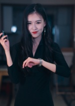 制裁者的游戏(25集) 制裁者的游戏(25集)在哪里可以全集