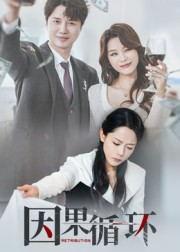 因果循环(45集) 因果循环(45集)全剧看到大结局