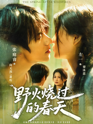 野火烧过的春天(85集) 野火烧过的春天(85集)热播短剧分享