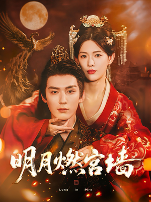 明月燃宫墙（60集）好看短剧看不停