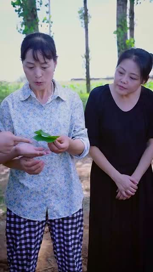 我在天庭打扫卫生却成了玉帝(79集) 我在天庭打扫卫生却成了玉帝(79集)每日短剧分享