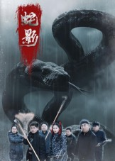 蛇影(25集) 蛇影(25集)热门短剧排行榜