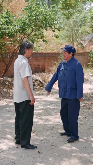 重生之出人头地（88）越看越好看短剧