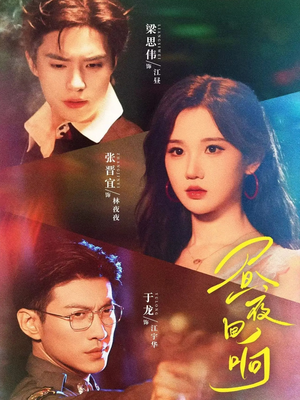 昼夜回响（76集）排行榜前十短剧