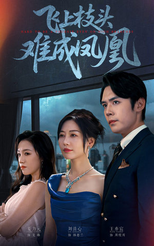 飞上枝头难成凤凰(47集) 飞上枝头难成凤凰(47集)直接看到大结局