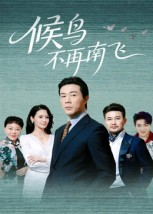 候鸟不再南飞(80集) 候鸟不再南飞(80集)深深爱上这部剧