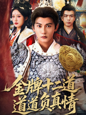 金牌十二道道道负真情(70集) 金牌十二道道道负真情(70集)全集