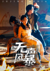 无声风暴(33集) 无声风暴(33集)热播短剧重燃
