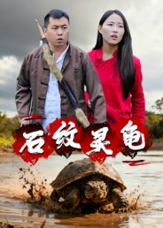 石纹灵龟(30集) 石纹灵龟(30集)短剧在线观看