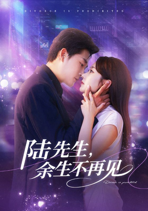 陆先生，余生不再见（88集）热门火爆短剧
