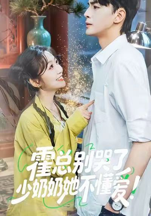 霍总别哭了少奶奶她不懂爱（50集）免费短剧看全集