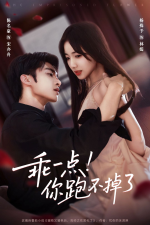 乖一点！你跑不掉了（80集）短剧追到爽