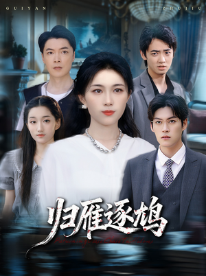 归雁逐鸠（60集）这部短剧太好看