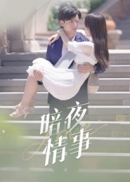 暗夜情事(100集) 暗夜情事(100集)短剧在哪个平台