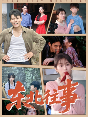 东北往事（60集 ）热门短剧追不停