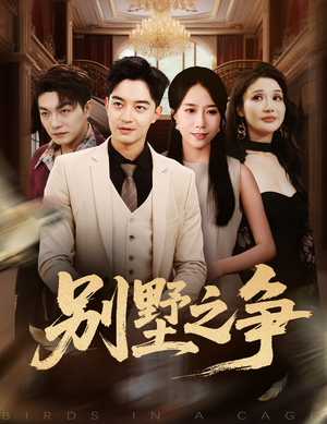 别墅之争（59集）哪个短剧网能看