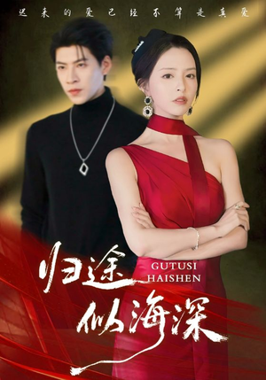 归途似海深（61集）追短剧关注我