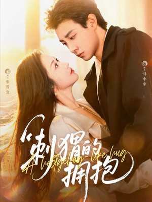 刺猬的拥抱（71集）全集我都看完了