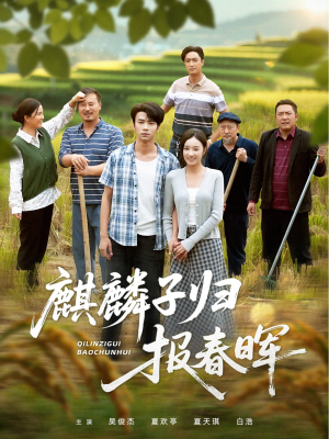 麒麟子归报春晖（36集）精彩短剧分享。