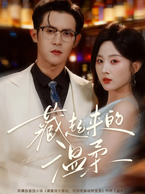 藏起来的温柔（75集）免费看