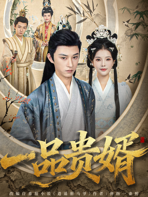 一品贵婿（80集）好看的短剧