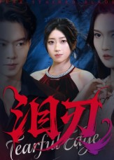 泪刃(40集) 泪刃(40集)在线观看完整版