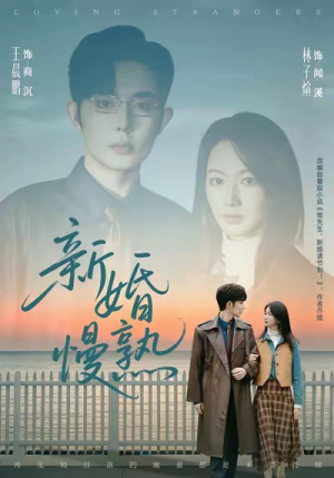 新婚慢熟（105集）短剧小说在线看