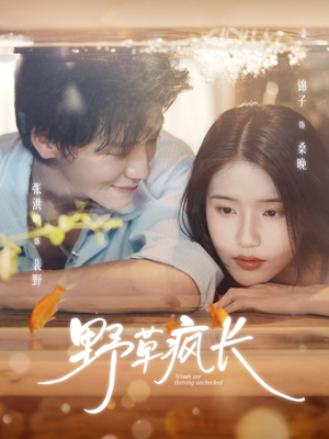 野草疯长(71集) 野草疯长(71集)1-102集