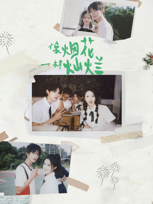 像烟花一样灿烂(60集) 像烟花一样灿烂(60集)男频短剧推荐