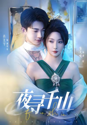 夜寻千山(60集) 夜寻千山(60集)演的怎么样