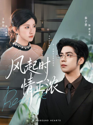 风起时情正浓（79集）最新火爆短剧