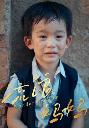 流浪妈妈(30集) 流浪妈妈(30集)推荐热门短剧