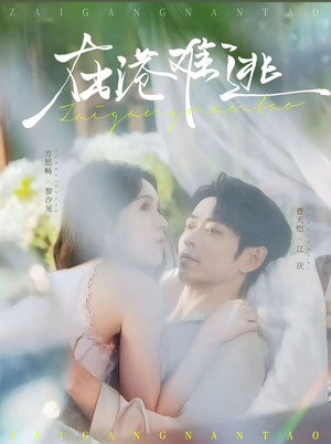 在港难逃(75集) 在港难逃(75集)网络小短剧