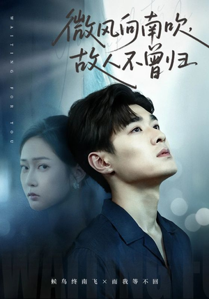 微风向南吹,故人不曾归(72集) 微风向南吹,故人不曾归(72集)甜宠短剧追到爽