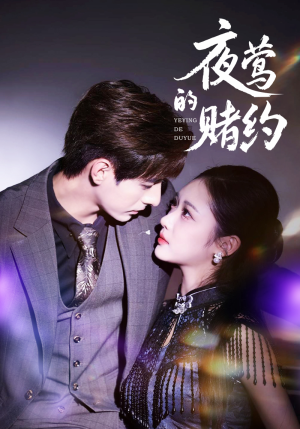 夜莺的赌约（71集）热门短剧追不停