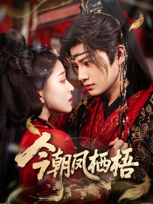 今朝凤栖梧（68集）短剧推荐来了