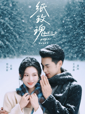 纸玫瑰第二部（80集）最新热播短剧