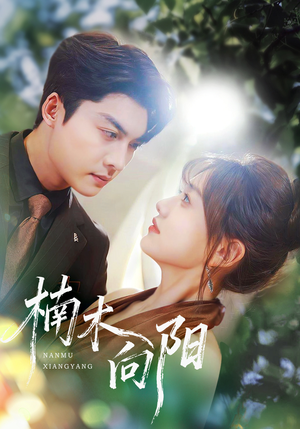 楠木向阳（70集）短剧推荐分享