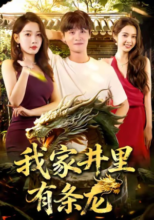 我家井里有条龙（80集）1-102集
