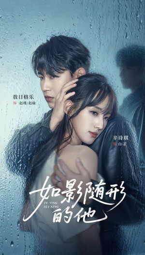 如影随形的他（30集）红果短剧看全集