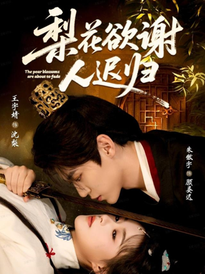 梨花欲谢人迟归（60集）80到100集