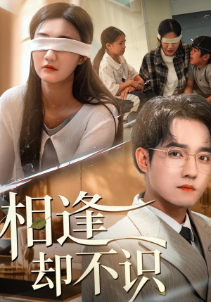 相逢却不识（77集）全剧免费观看