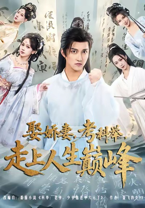 娶娇妻，考科举，走上人生巅峰（80集）爱短剧爱追剧