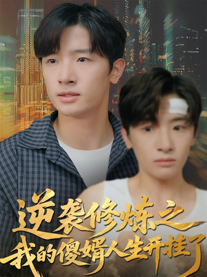 逆袭修炼之我的傻婿人生开挂了（65集）精彩短剧下载