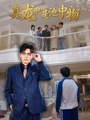 真龙岂是池中物（80集）精彩短剧下载